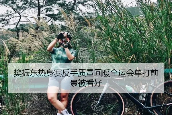 樊振东热身赛反手质量回暖全运会单打前景被看好 | wmsports
